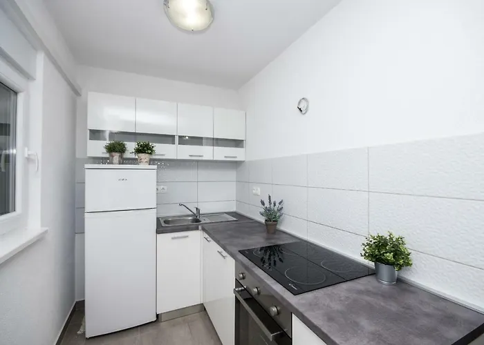 Ivan * Τρογκίρ